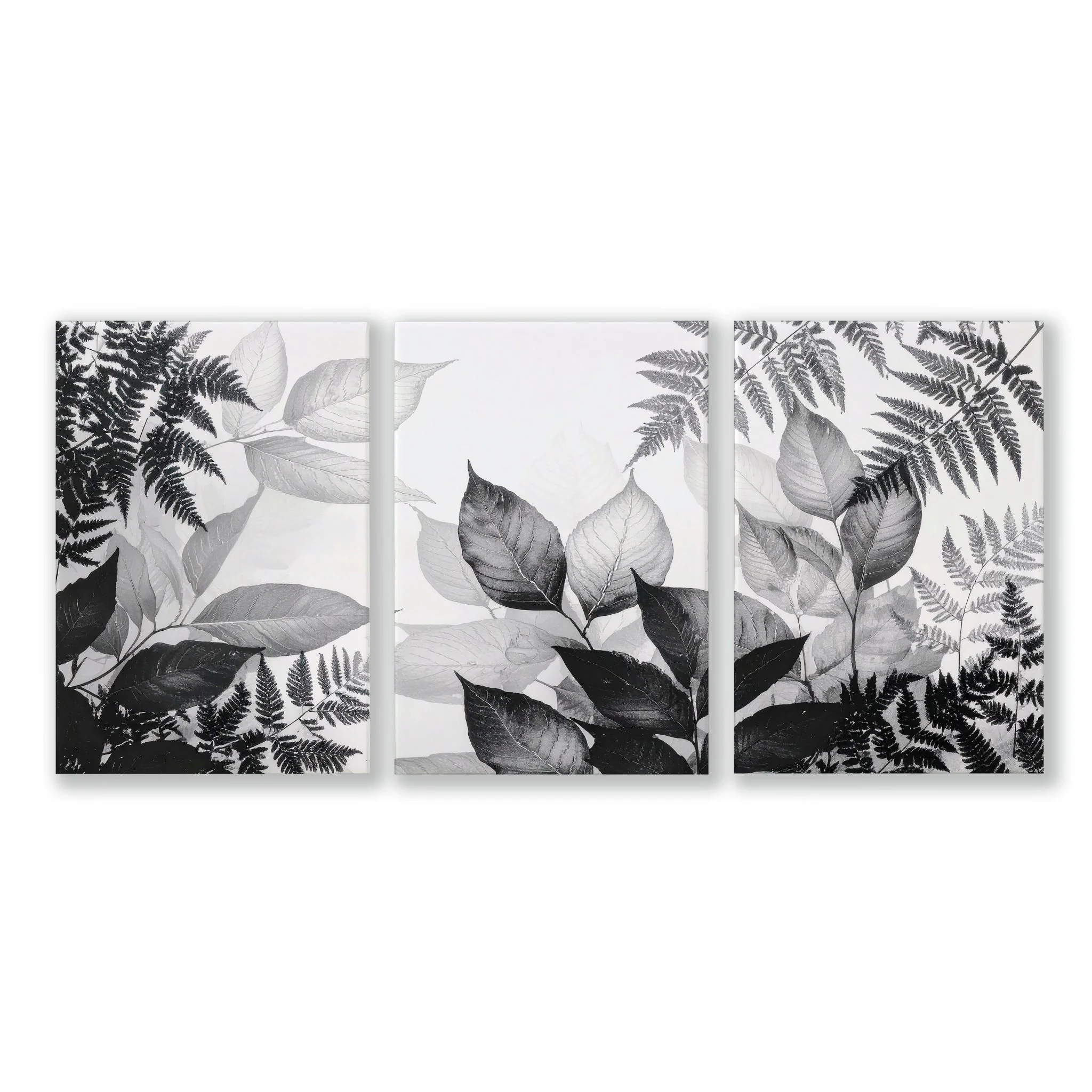 Art In Frames | Set of 3 Botanical Wall art Prints - Image 13