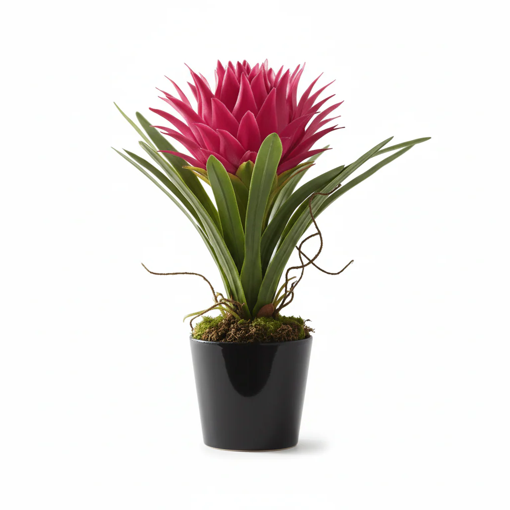 Fiori Pink Tropical Plant with Black Ceramic Pot