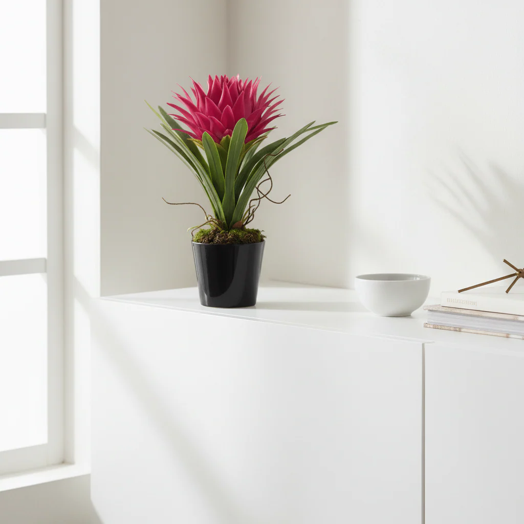 Fiori Pink Tropical Plant with Black Ceramic Pot - Image 3