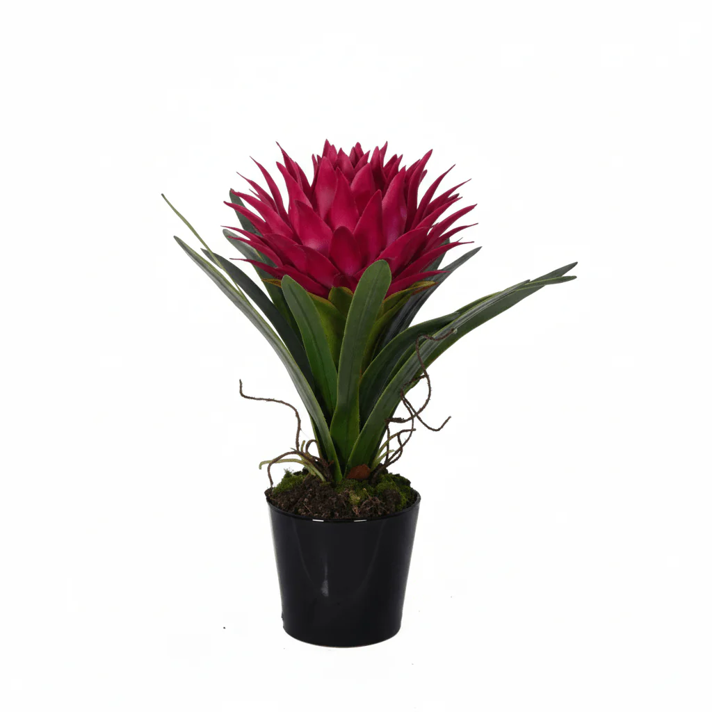 Fiori Pink Tropical Plant with Black Ceramic Pot - Image 6