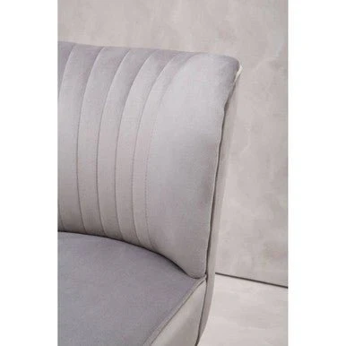 Regents Park Grey Velvet Chair - Image 10