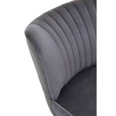 Regents Park Grey Velvet Chair - Image 14
