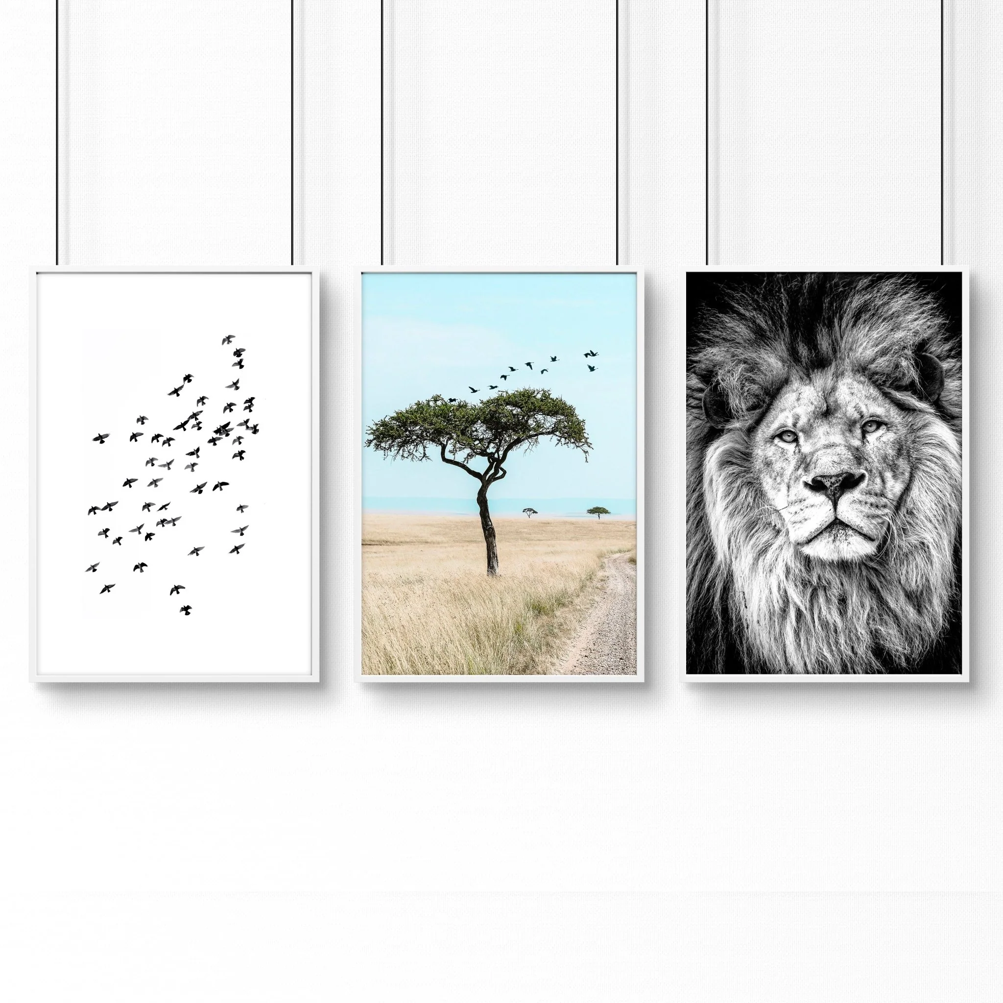 Wall Art Large Prints | Set of 3 African Wildlife Wall art Prints - Image 15